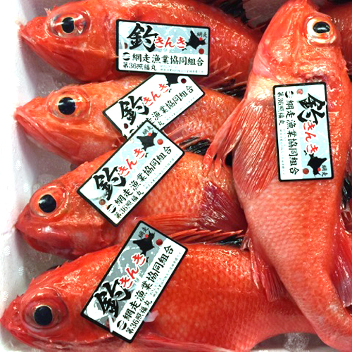 北海道 鮮魚 仕入れ｜札幌海産物